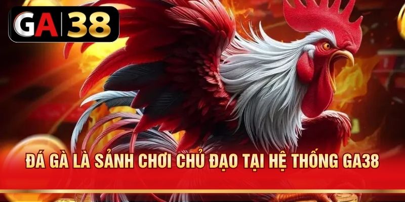 Đá gà là sảnh chơi chủ đạo tại hệ thống GA38